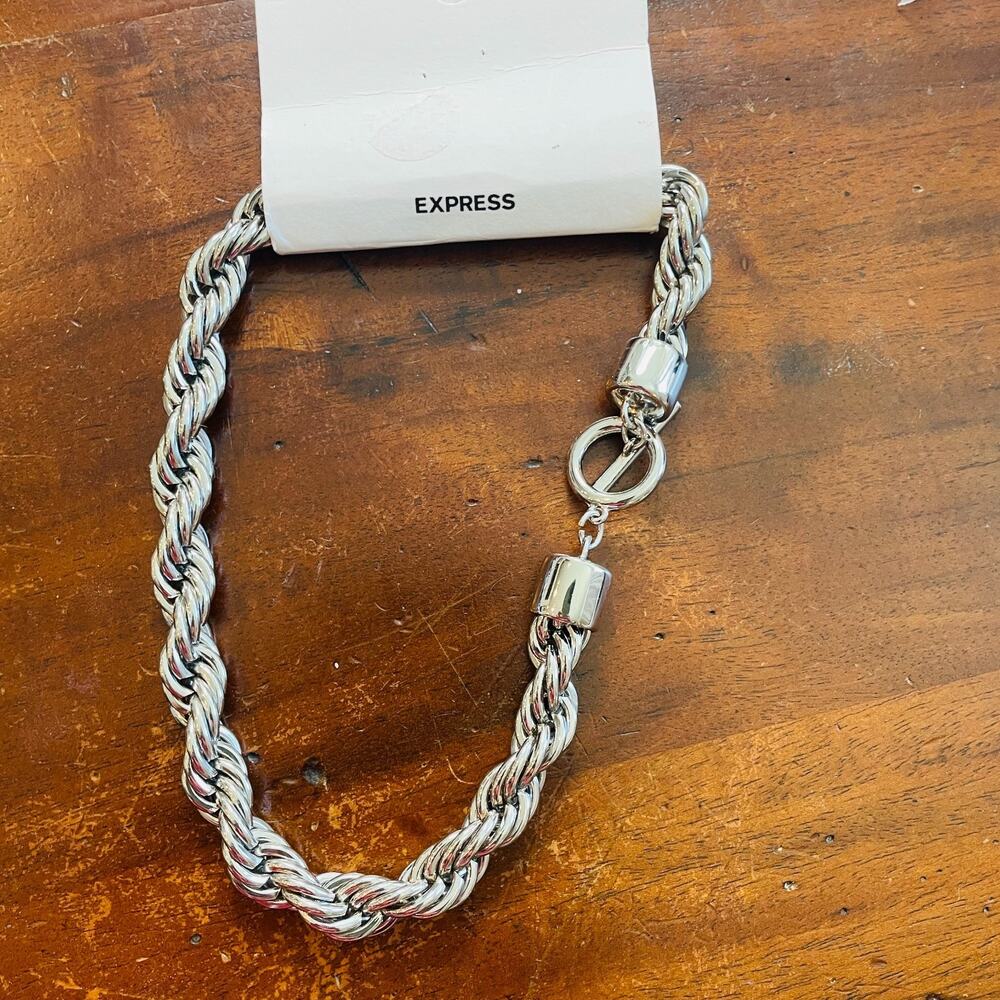 New! Express Twisted Rope 18” Silver Tone Chunky Necklace Fashion Jewelry